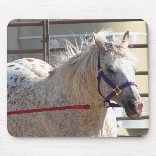 Tapis De Souris Pony tacheté (Devant)