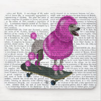 Poodé rose et planche à roulettes