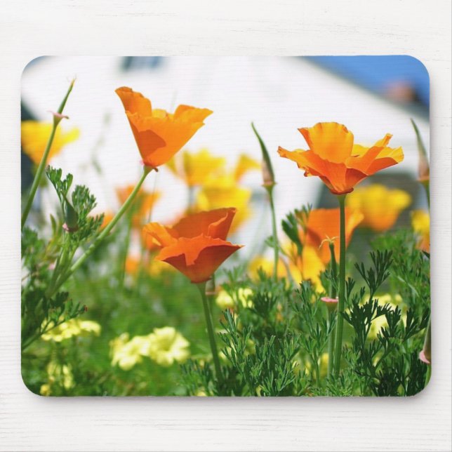 Tapis De Souris Poppies de Californie (Devant)