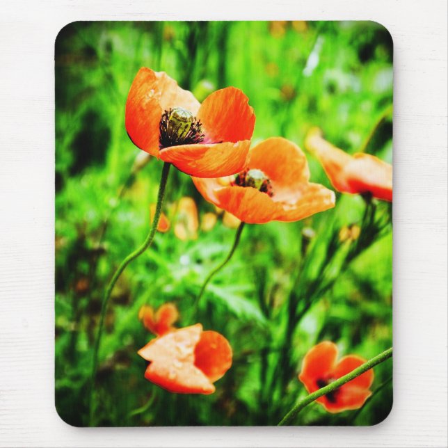 Tapis De Souris Poppies en Nouvelle-Zélande Mousepad (Devant)