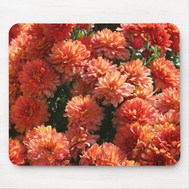 Tapis De Souris Poppies I (Devant)