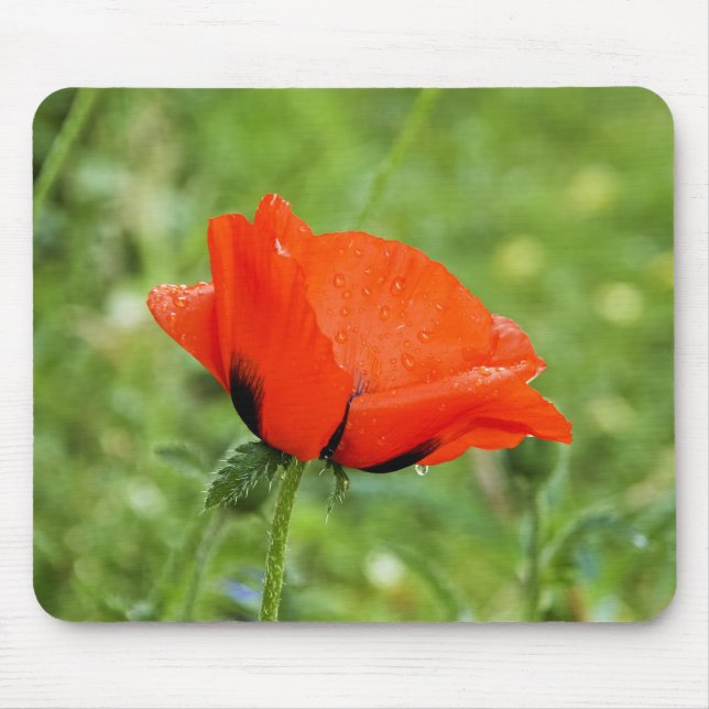 Tapis de souris Poppy (Devant)