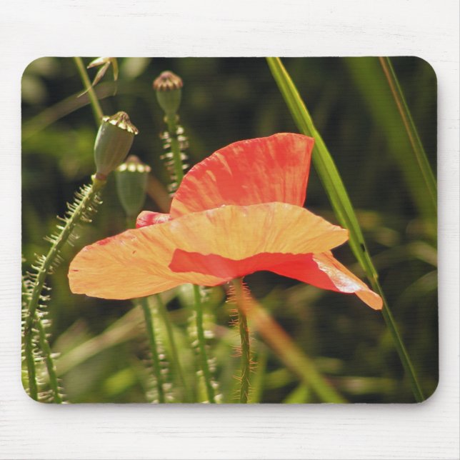 Tapis de souris Poppy (Devant)