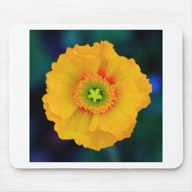 Tapis De Souris Poppy islandais (Devant)