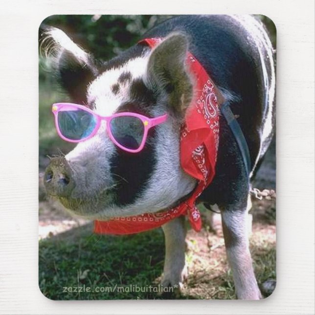 Tapis De Souris Porc avec les lunettes de soleil et le Bandana (Devant)