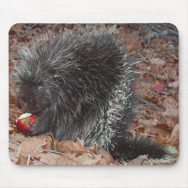 Tapis De Souris Porc-épic et Apple (Devant)