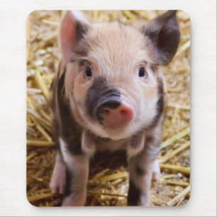 Tapis De Souris Porcelet