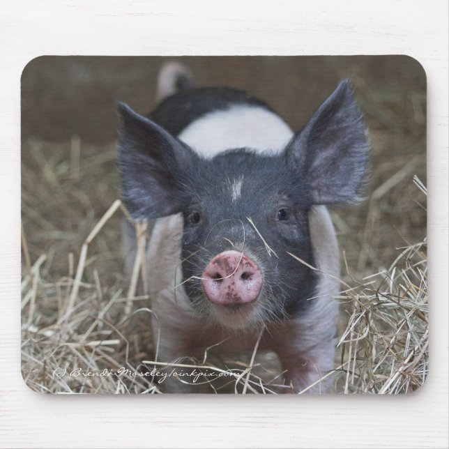 Tapis De Souris Porcelet en paille (Devant)