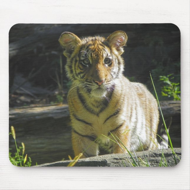 Tapis De Souris Portrait 4 de CUB de tigre (Devant)