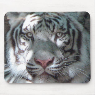 Tapis De Souris Portrait blanc de tigre