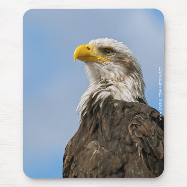 Tapis De Souris Portrait d'aigle à tête blanche Art animalier (Devant)