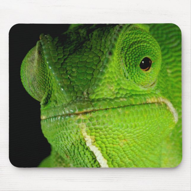 Tapis De Souris Portrait de caméléon à cou plat (Devant)