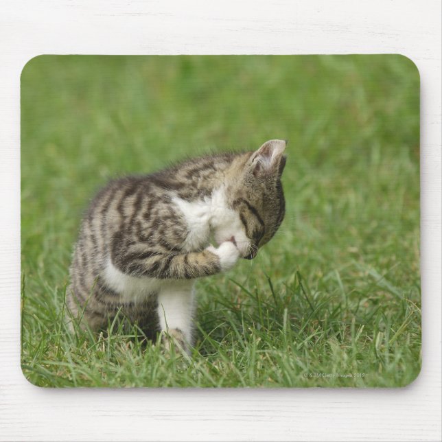 Tapis De Souris Portrait de chat (Devant)