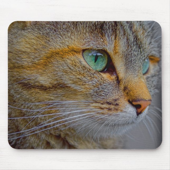 Tapis De Souris Portrait de chat de tigre (Devant)