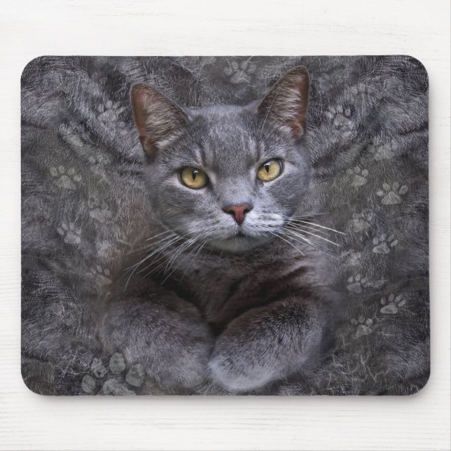 Tapis De Souris Portrait de chat gris (Devant)