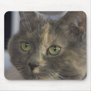 Tapis De Souris Portrait de chat Mousepad