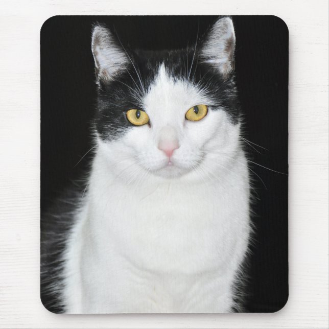 Tapis De Souris Portrait de chat noir et blanc (Devant)