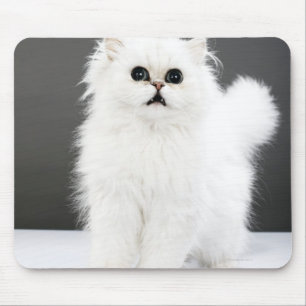 Tapis De Souris Portrait de chaton