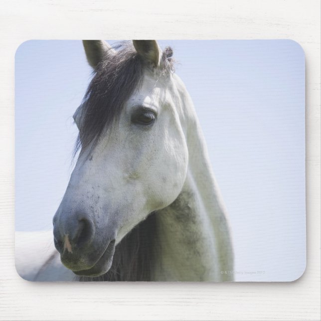 Tapis De Souris portrait de cheval blanc (Devant)