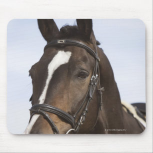 Tapis De Souris portrait de cheval brun