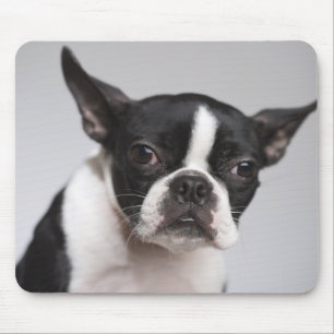 Tapis De Souris Portrait de chien