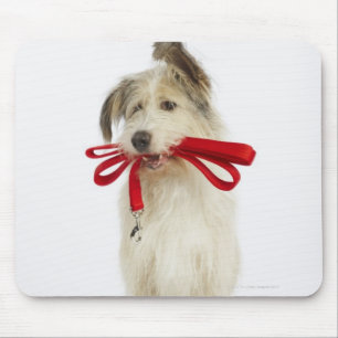 Tapis De Souris Portrait de chien avec la laisse