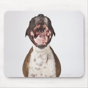 Tapis De Souris portrait de chien de boxeur baîllant