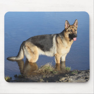 Tapis de souris Portrait de chiot Berger Allemand