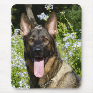 Tapis de souris Portrait de chiot Berger Allemand