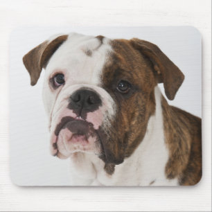 Tapis De Souris Portrait de chiot mignon de bouledogue