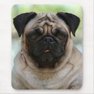 Tapis de souris portrait de chiot Pug Love