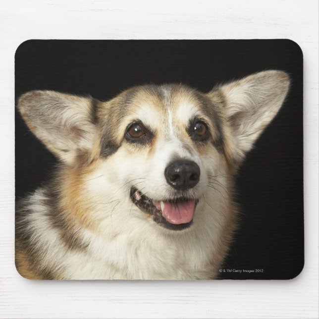 Tapis De Souris Portrait de Corgi noir, marron et blanc (Devant)
