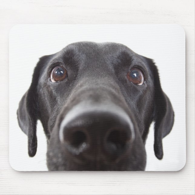 Tapis De Souris Portrait de fermeture Black Labrador (Devant)