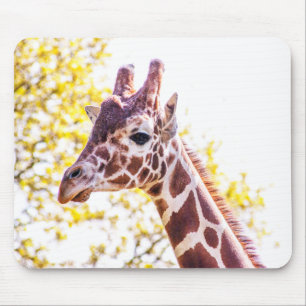 Tapis De Souris Portrait de Giraffe