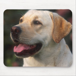 Tapis De Souris Portrait de Labrador Retriever, Hilton