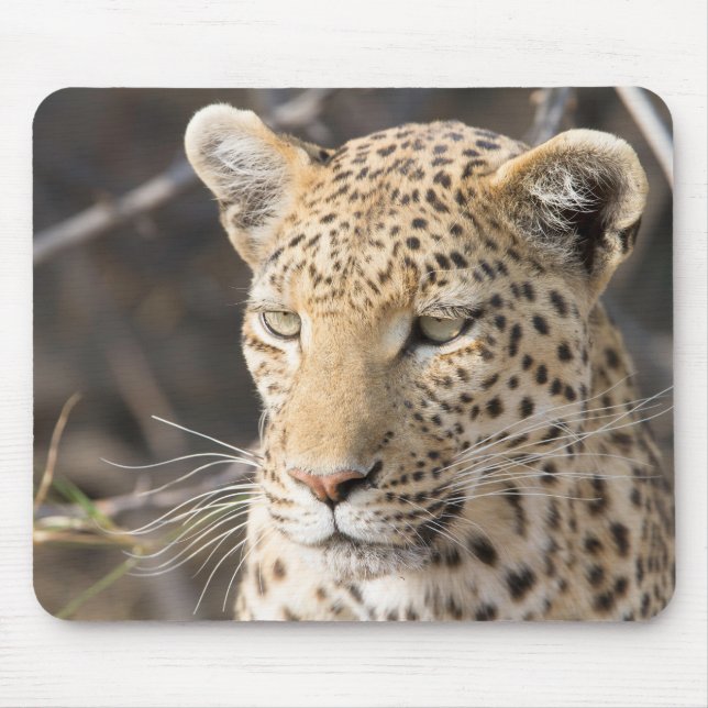 Tapis De Souris Portrait de Léopard (Devant)