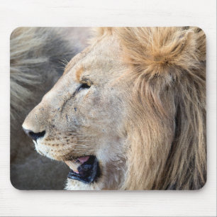 Tapis De Souris Portrait de Lion
