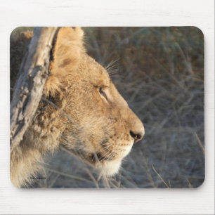 TAPIS DE SOURIS PORTRAIT DE LION MÂLE