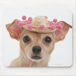Tapis De Souris Portrait de petit chien dans le sombrero