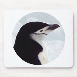 Tapis De Souris Portrait de pingouin de jugulaire