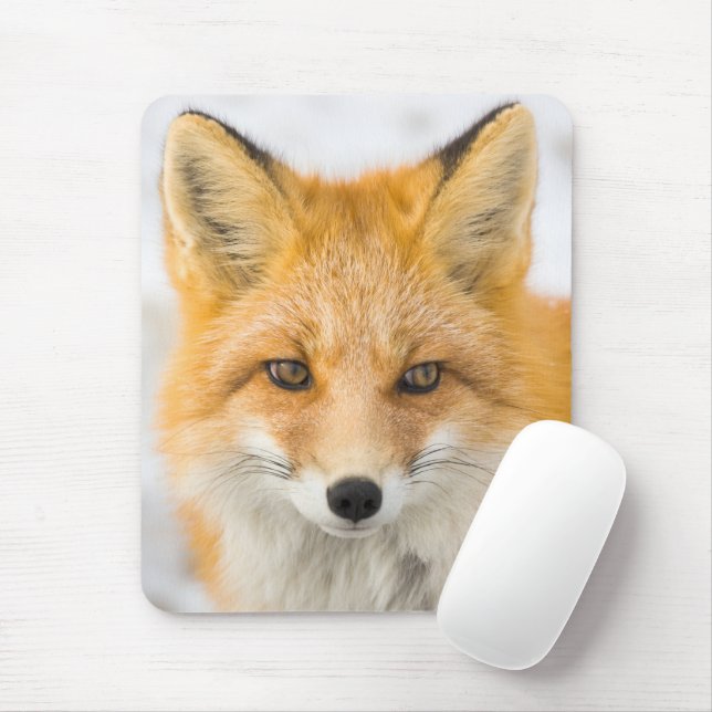 Tapis De Souris Portrait de renard roux (Avec souris)