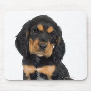 Tapis De Souris Portrait de studio de chiot de rottweiler