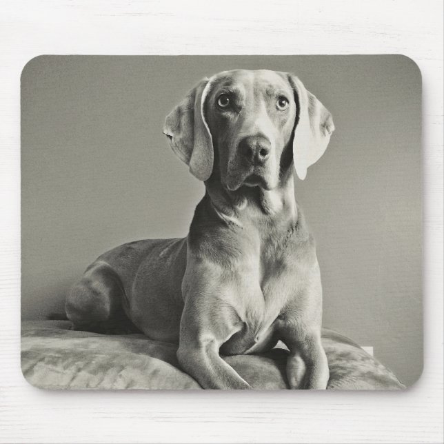 Tapis De Souris Portrait de Weimaraner (Devant)