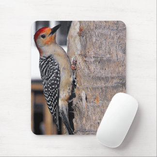 Tapis De Souris Portrait de Woodpecker