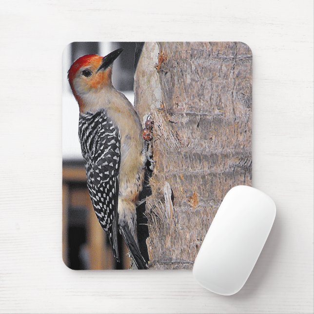 Tapis De Souris Portrait de Woodpecker (Avec souris)