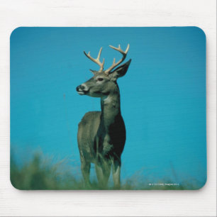 Tapis De Souris Portrait des cerfs communs