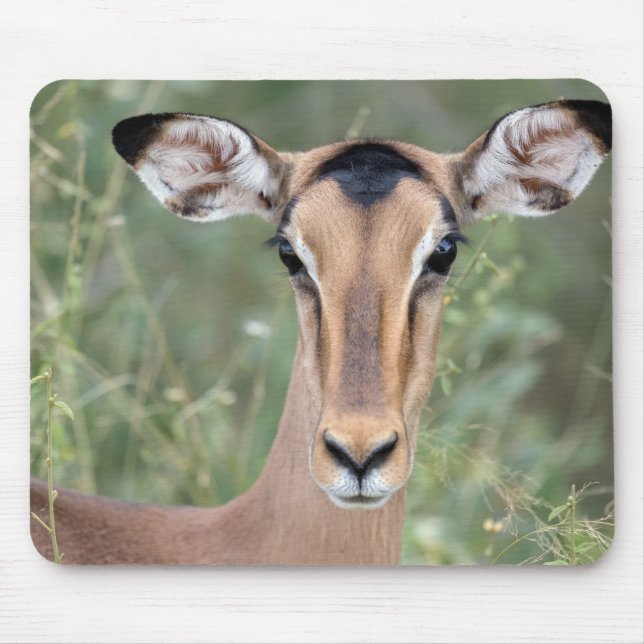 Tapis De Souris Portrait d'Impala (Devant)