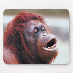 Tapis De Souris Portrait d'orang-outan