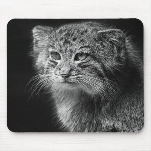 Tapis De Souris Portrait du chat de Pallas
