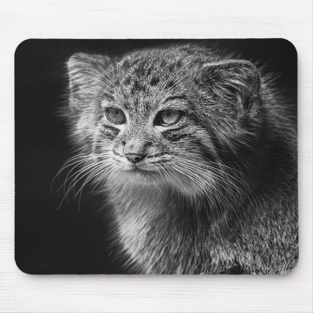 Tapis De Souris Portrait du chat de Pallas (Devant)